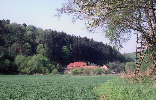 Active Image