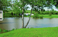 Fischfest des Anglerclubs Madenhausen Active Image